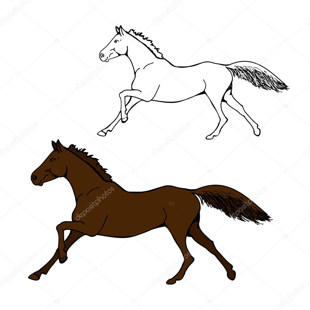 Koń Galop Układ I Kolor Obrazu Grafika Wektorowa