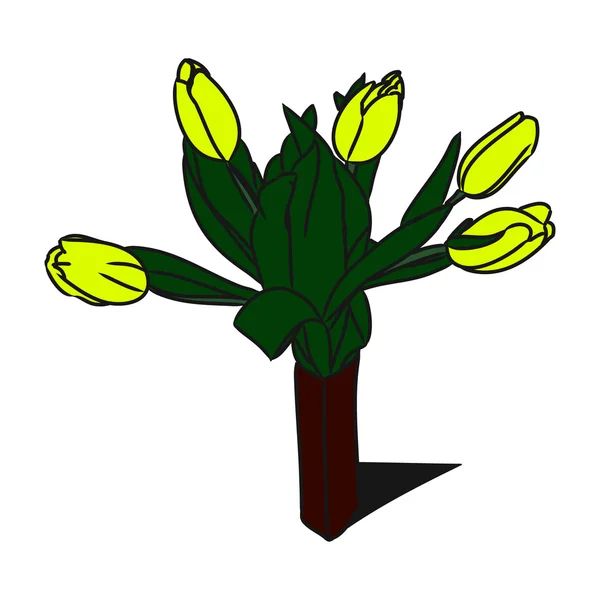 Żółte tulipany w wazonie — Wektor stockowy
