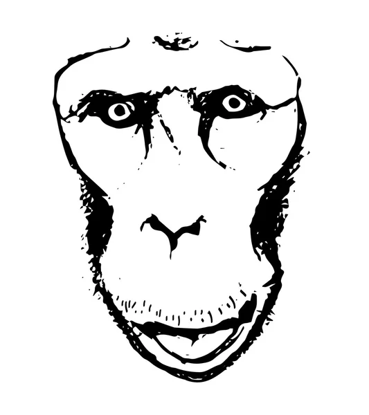Goril soyutlama 0 görüntüleme — Stok Vektör