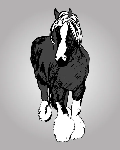 Il cavallo del conte (Suffolk punch ) — Vettoriale Stock