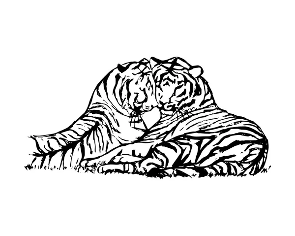 Due amanti della tigre — Vettoriale Stock