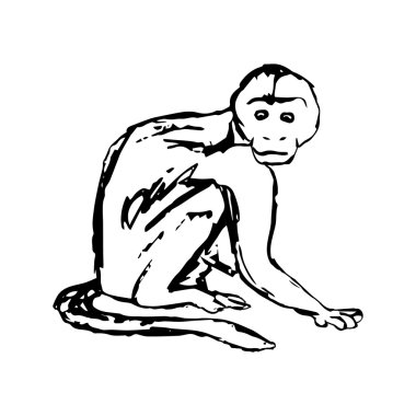 Marmoset (grafik görüntü) 0