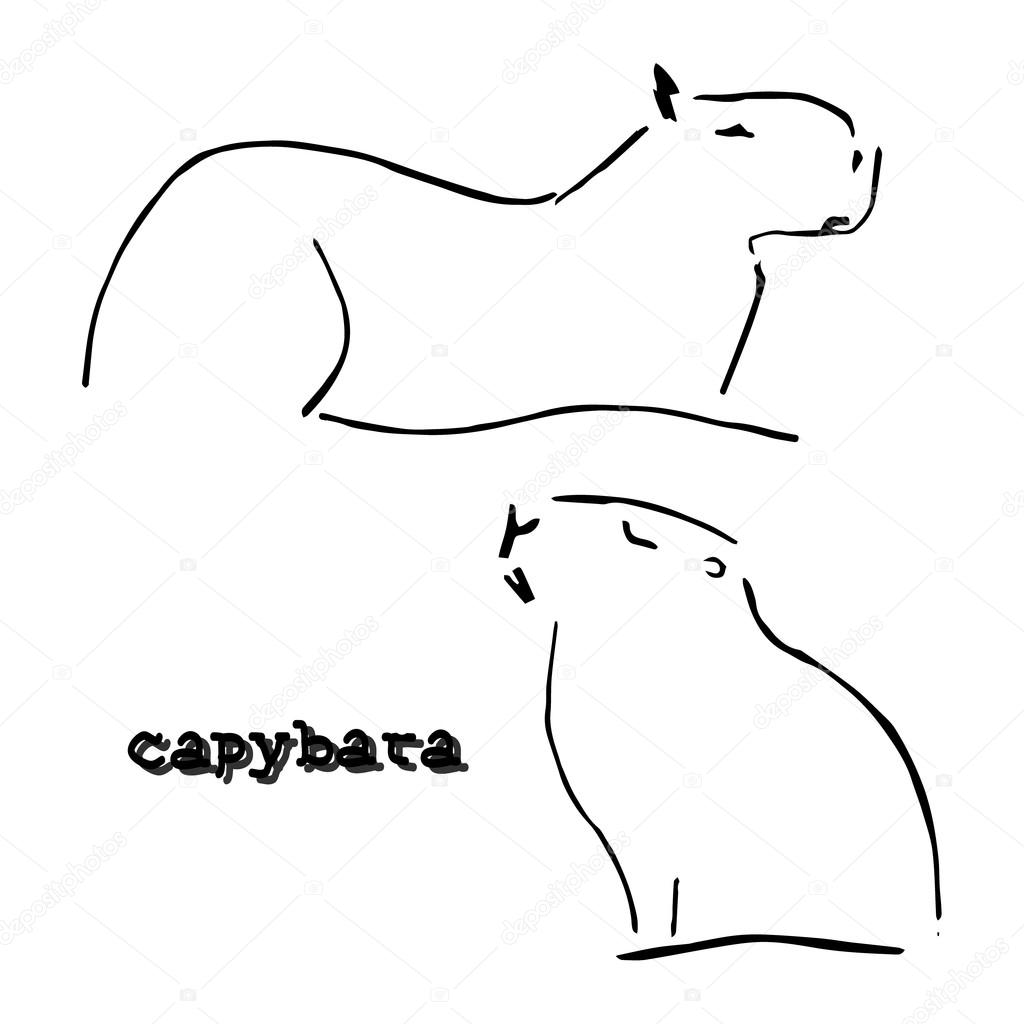 Vetores de Capivara Ilustração De Cores Vetoriais De Capivara Desenho De Um  Animal Em Estilo Desenho Animado e mais imagens de Capivara - iStock