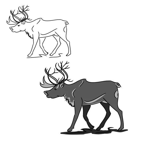 Grey deer (contour) — Stock Vector