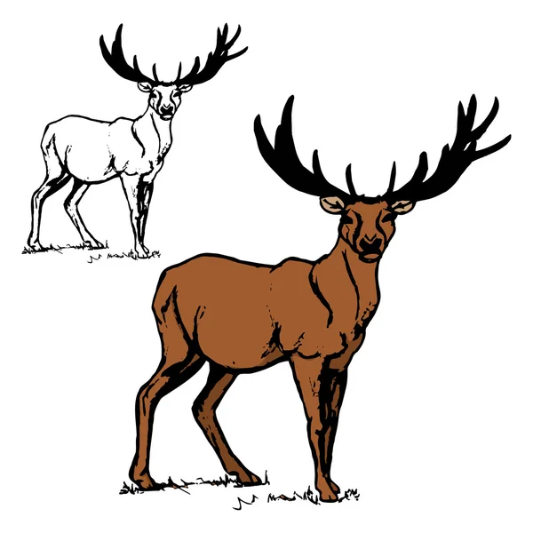 Forest deer figure 1 — Stock Vector