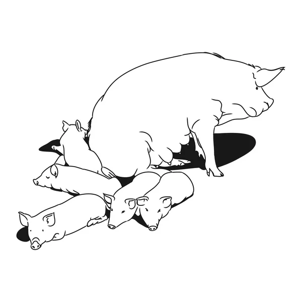 Pig with piglets — Stockvector