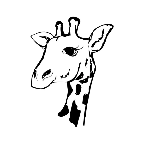 Het hoofd van een giraffe 0 — Stockvector