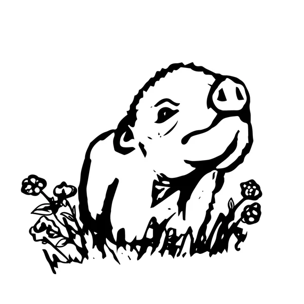 Le cochon mignon sur la pelouse — Image vectorielle