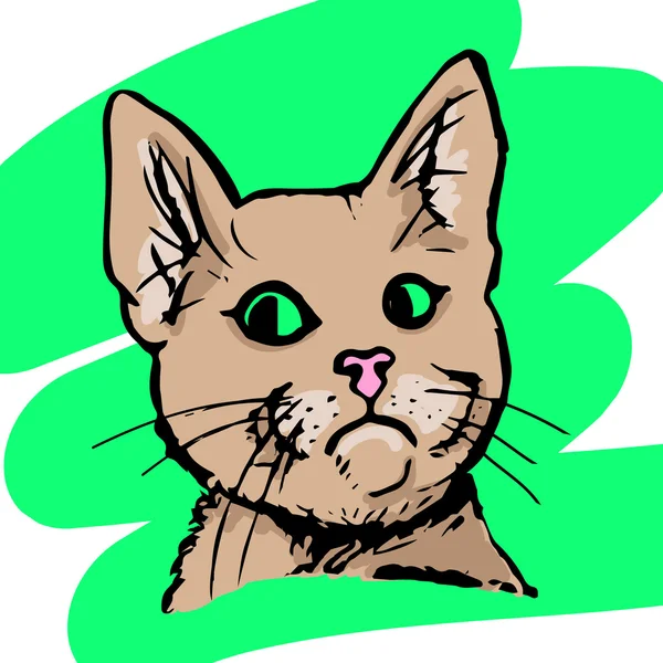 Namlu komik kedi 2