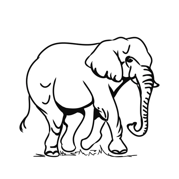 Grote olifant (contour) — Stockvector