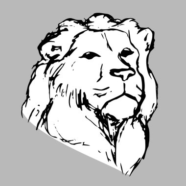 Bir aslan 0 başkanı