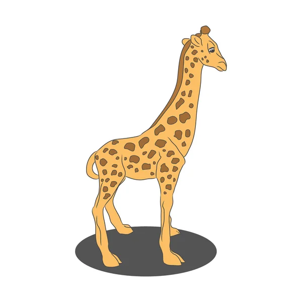 Mignon bébé girafe — Image vectorielle