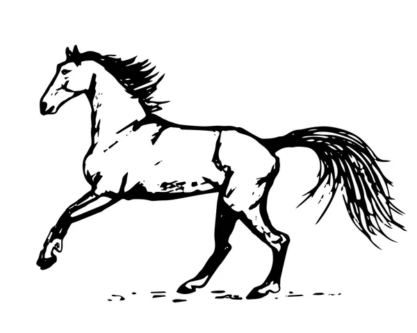 Figure d'un cheval galopant — Image vectorielle