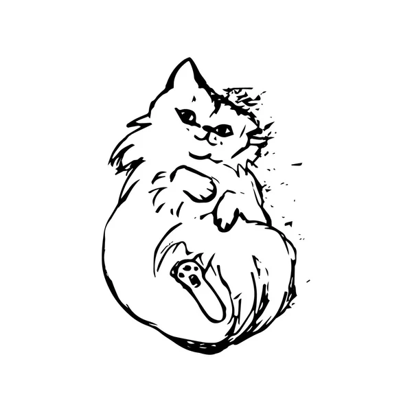 El gato yace en la espalda — Archivo Imágenes Vectoriales