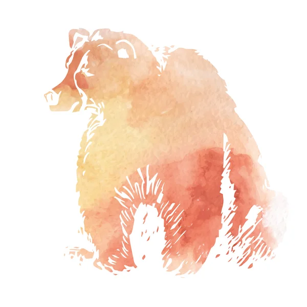 Brown bear watercolor — Stock Vector