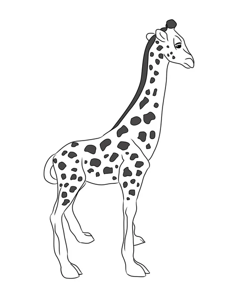 Pequeno vetor de girafa — Vetor de Stock