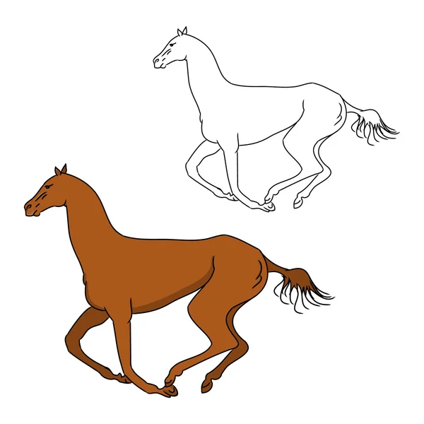 Obrys koně cválat — Stockový vektor