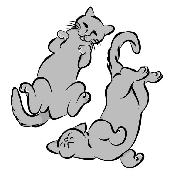 Two gray cat lying on the back — Stock Vector