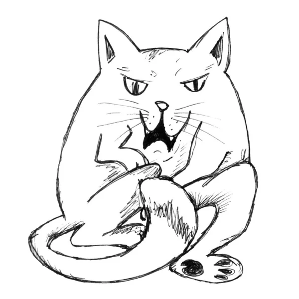Legrační Kočka Bílém Pozadí Grafická Kresba Ilustrace Koťátka — Stock fotografie