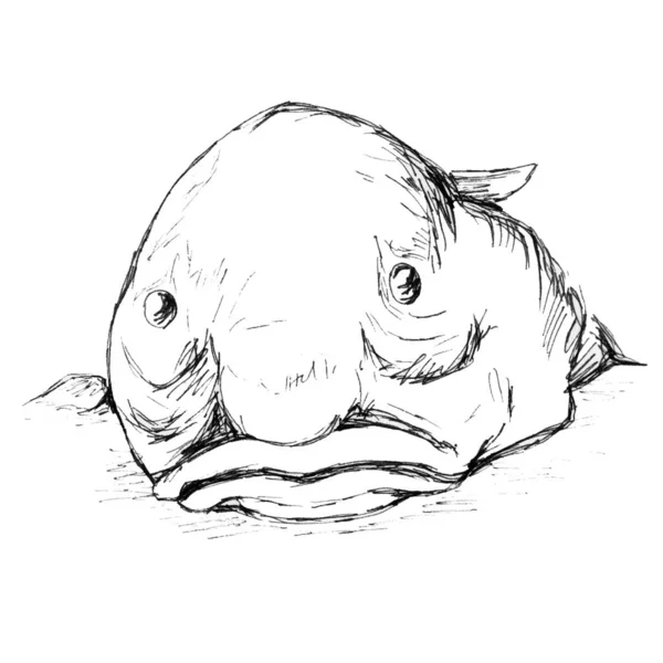 Komik Bir Balığın Beyaz Arka Plan Görüntüsü Üzerine Balık Düşer — Stok fotoğraf