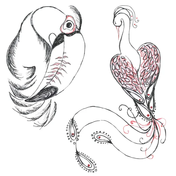 Πουλιά (Toucan και Firebird). — Διανυσματικό Αρχείο