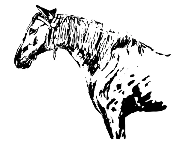 Disegno a mano libera grafico a cavallo (bianco e nero ) — Vettoriale Stock