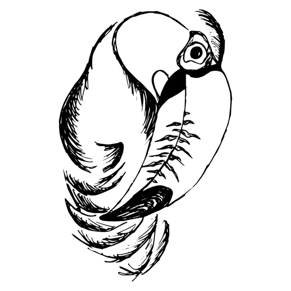 Oiseau toucan (abstraction) ). — Image vectorielle