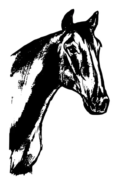 Kepala kuda - desain grafis - Stok Vektor