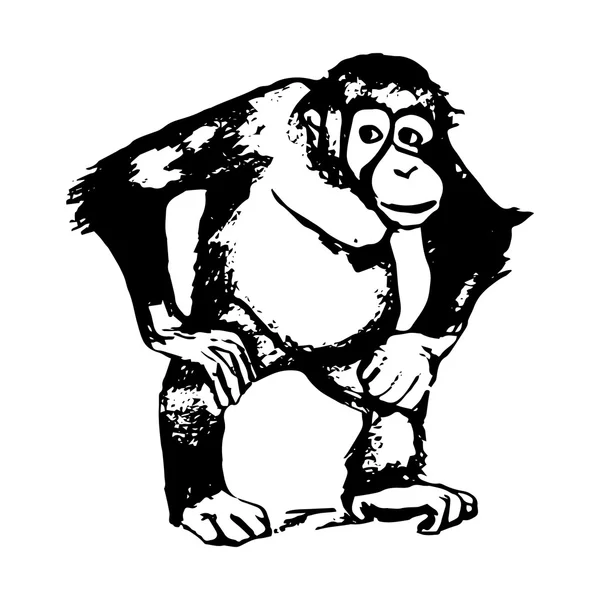 La figura del mono - el orangután, los gráficos — Vector de stock