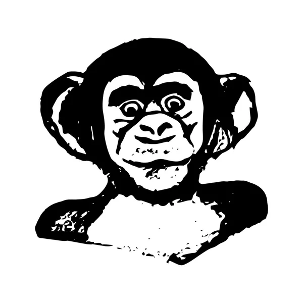 원숭이 머리 (그래픽)-침팬지 — 스톡 벡터
