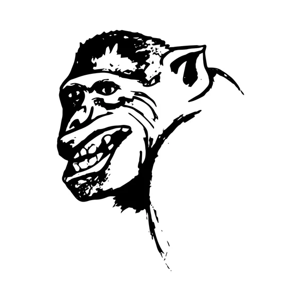 적극적인 원숭이 미소 원숭이 (개요) — 스톡 벡터