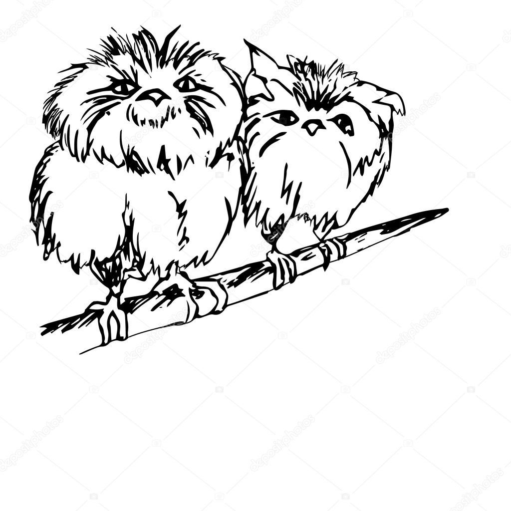 抽象化の枝にかわいい雛 ストックベクター C Mila Endo