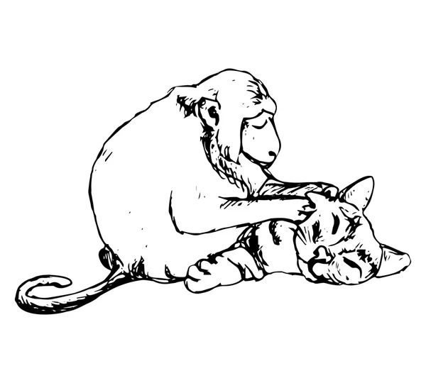 Přátelé - opice a kočka (abstrakce) — Stockový vektor