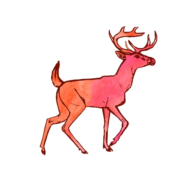 Deer (watercolor paint drawing) — Stock Vector