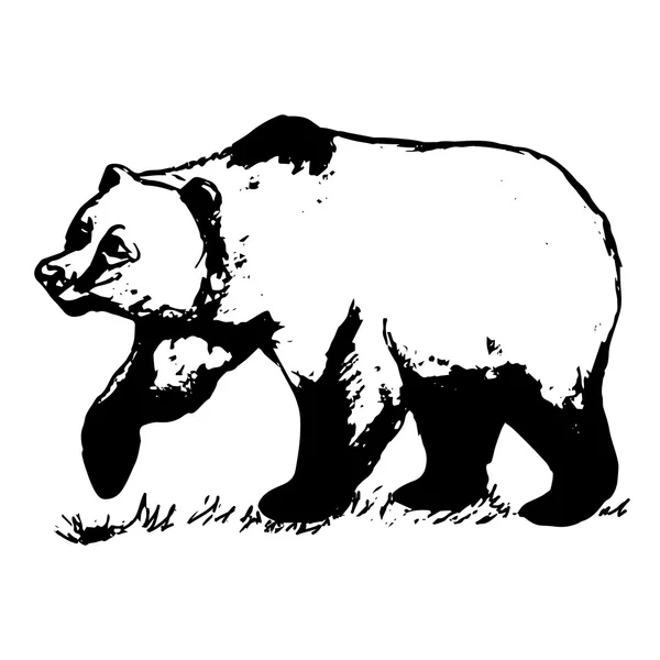 Orso bruno 3 (astrazione del modello ) — Vettoriale Stock