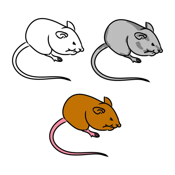 Rat, mouse - sketch, the drawing in color (set 2) — Stock Vector
