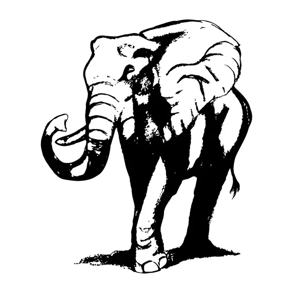 L'elefante cammina (grafica ) — Vettoriale Stock