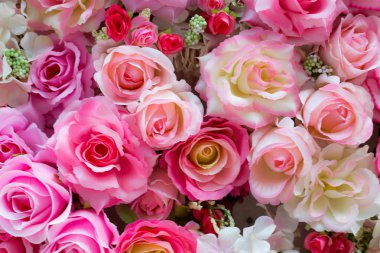 Yumuşak renk güller