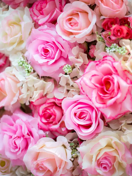Soft Color roses — Stock Photo, Image