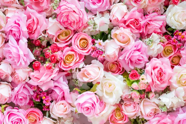 Rosas de color suave — Foto de Stock