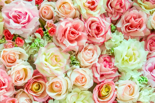 Soft Color roses — Stock Photo, Image