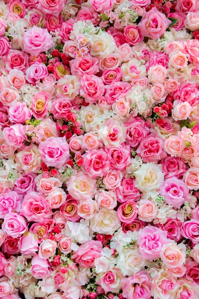 Rosas de cor suave — Fotografia de Stock