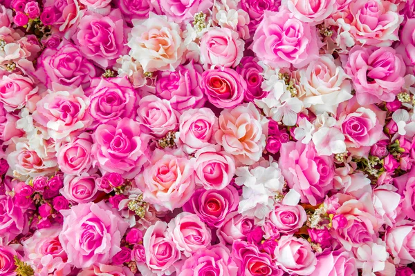 Soft Color roses — Stock Photo, Image