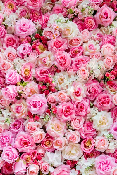 Rosen weicher Farbe — Stockfoto