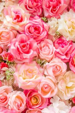 Yumuşak renk güller