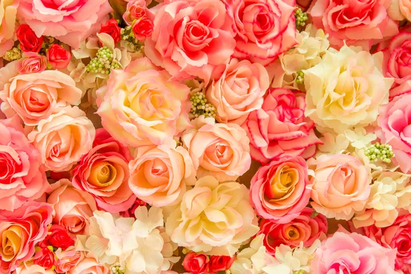 Měkká barevná růže — Stock fotografie