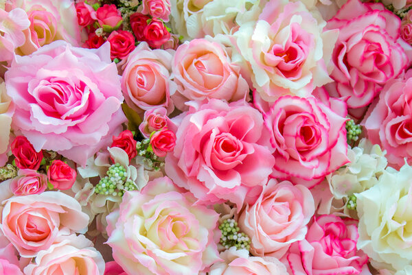 Soft color Roses