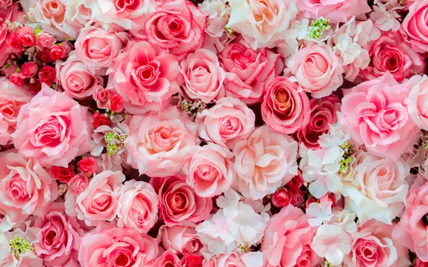 Zachte kleur Roses — Stockfoto