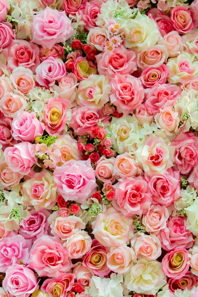 Lágy színű Rózsa háttér — Stock Fotó
