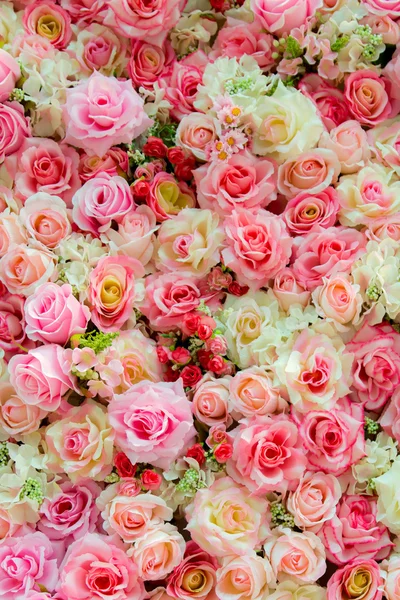 Color suave Rosas Fondo — Foto de Stock